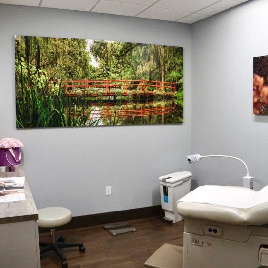Women To Women, OB-GYN Doctors Office Project Gallery | Schachne ...